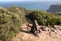 Simon's Town (59)